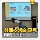 [미디어기자단] 영등포구보건소에서 진행한 무료 심폐소생술 교육 후기