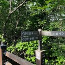 파주시티투어 자연과웰니스(화요일) 이미지