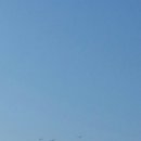 새들농장 이미지