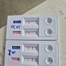 3개월 아가들인 꽃비가 파보 양성, 단비가 코로나 양성이 떴습니다. 이미지