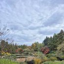 서울이용소 | 포항 가을 여유롭게 즐길 수 있는 곳 포스텍 지곡회관