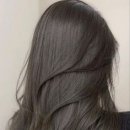 아모르헤어 이미지