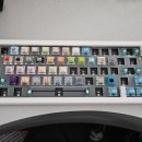 옥적축산 | [내돈내산] gmk67 키보드를 스위치 테스터로 만들어버렸습니다.