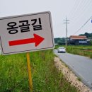 옹골