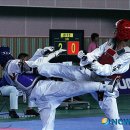 동해태권도체육관 뉴시스