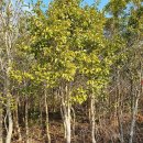 남부농원 이미지