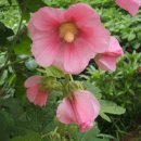 승준농장 이미지