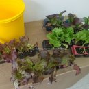 성거농약사 이미지