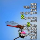 아름다운 철새들의 날개짓ㅡ왜가리 학 두루미 천둥오리ㅡ 고향무정 오 기택 노래ㅡ 고향으로 가는배 송 민준 ㅡ꿈에본 내고향 김양 노래ㅡ 남 이미지