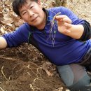 영심농장 이미지