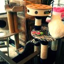 본리종합동물병원 이미지