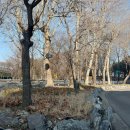 윈드크린 | 겨울철 윈드실드 시야를 확보하자! 유막제거 클린뷰 세차용품 후기.