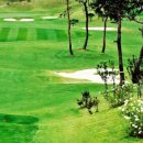 서산수골프앤리조트 이미지