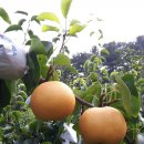 지우네 농장 이미지