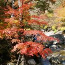 피아골주유소 이미지