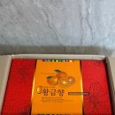 고운농장 | 풍부한 과즙 새콤달콤한 '황금향' 내돈내산 택배 후기(+민수네 귤농장 제주올레점)