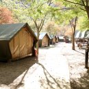 소백산 남천야영장1 이미지