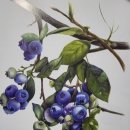 즐거운 색연필화 이미지