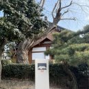 기분좋은펜션 | [경주 한옥 독채 펜션] 아이랑 가기 좋은 단체 펜션 후기//블리스 한옥펜션