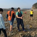 더하루민박 이미지