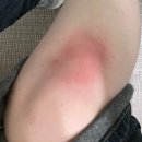 1분기에 잇엇던 일들을 어떻게 기억하냐고