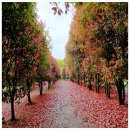 여주-0656 | 가족과 함께 떠나는 자연 속 힐링 여행! 꼭 가봐야 할 식물원 4곳 추천 🌿🌸