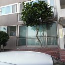 완월동106 이미지