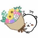 W8. 누노마 Nunoma 사전 미팅 후기 및 준비물 (부케: 피크닉 플라워)