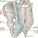 장천한의원 이미지