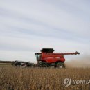 곡물농장 이미지