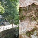 부강약수터 이미지