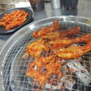 불새닭발 이미지