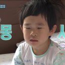 제이드럭 이미지