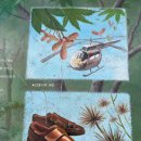 관음사 옆 화장실 이미지