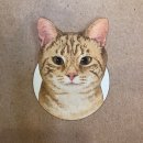 야옹야옹 이미지