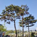 (주)진성에프엠