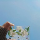 성도치과의원 이미지