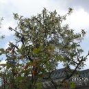 경북지업사 이미지