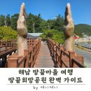 두륜산도립공원 관리사무소 | 해남 땅끝마을 여행 | 땅끝희망공원 주차 · 일몰 · 즐길거리 완벽 가이드