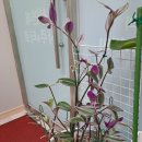 서산 타로샵 서연재 사주앤타로 상담 후기