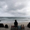 월정리 문스테이 게스트하우스 이미지