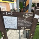 영심이네칼국수 | 연말연초 가족 여행 고민 끝 강화도 교동 대룡시장 자세한 후기 가볼만한곳 추천
