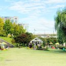 살곶이길 이미지