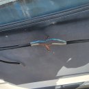 헬로PC방 이미지