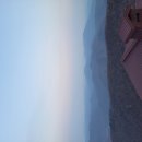 꽃지사랑 이미지