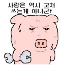 속초한우뭉티기