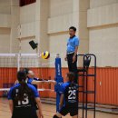 홍천해당화 이미지