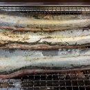 힘찬 민물 장어 이미지