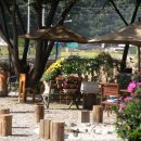 들꽃향기 이미지