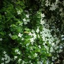 사곡3리 이미지